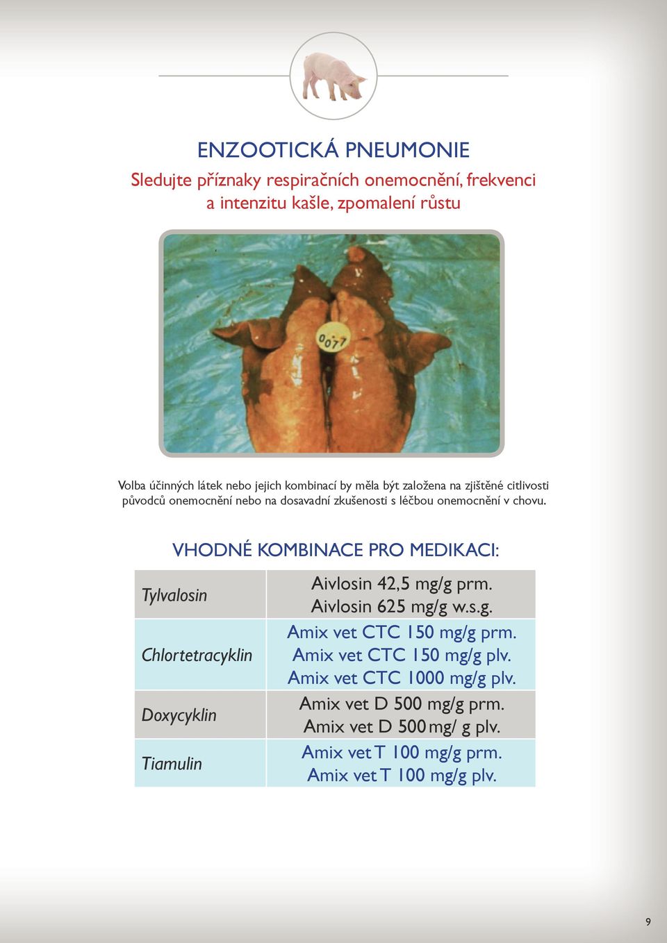 VHODNÉ KOMBINACE PRO MEDIKACI: Tylvalosin Chlortetracyklin Doxycyklin Tiamulin Aivlosin 42,5 mg/g prm. Aivlosin 625 mg/g w.s.g. Amix vet CTC 150 mg/g prm.