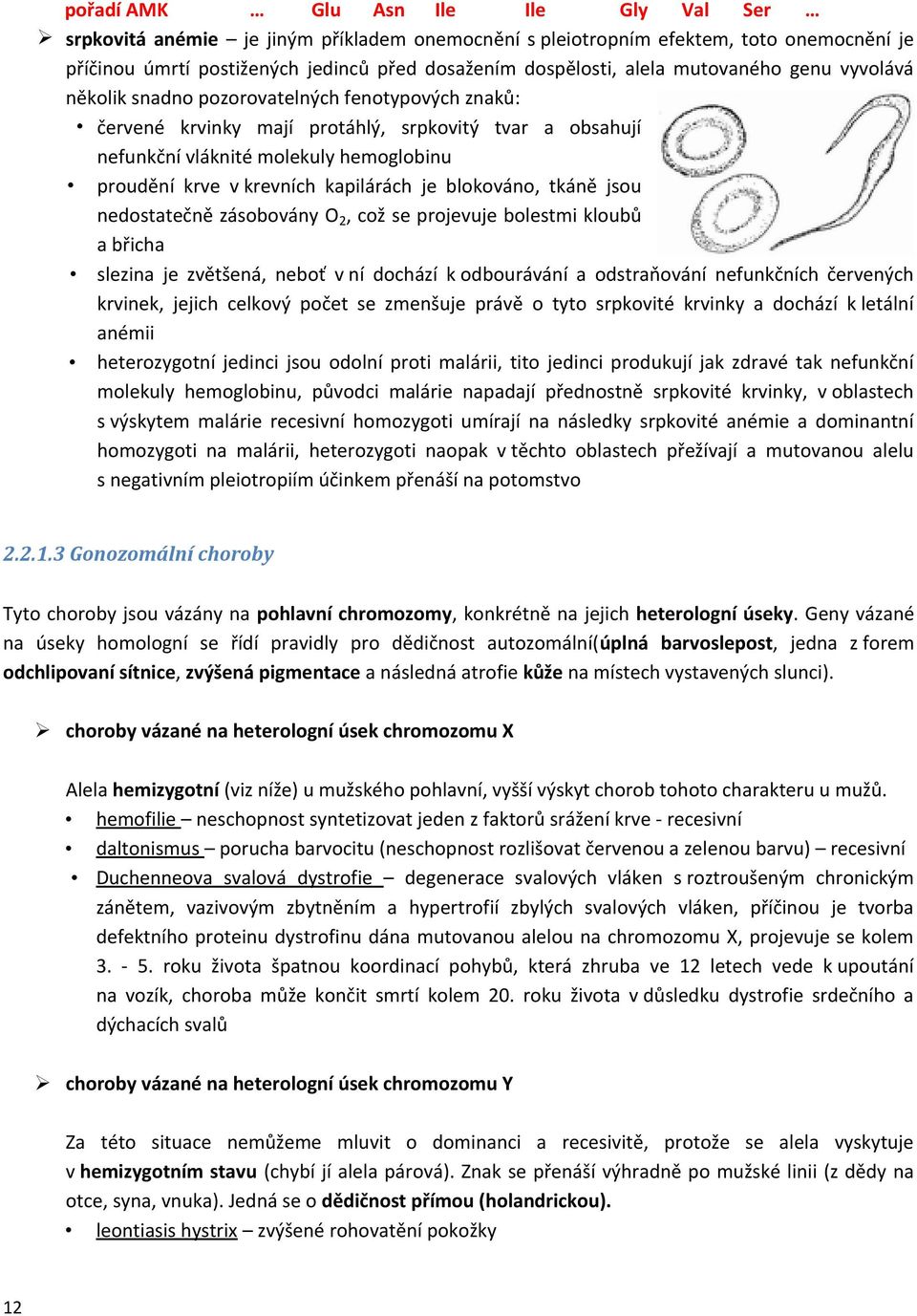 kapilárách je blokováno, tkáně jsou nedostatečně zásobovány O 2, což se projevuje bolestmi kloubů a břicha slezina je zvětšená, neboť v ní dochází k odbourávání a odstraňování nefunkčních červených