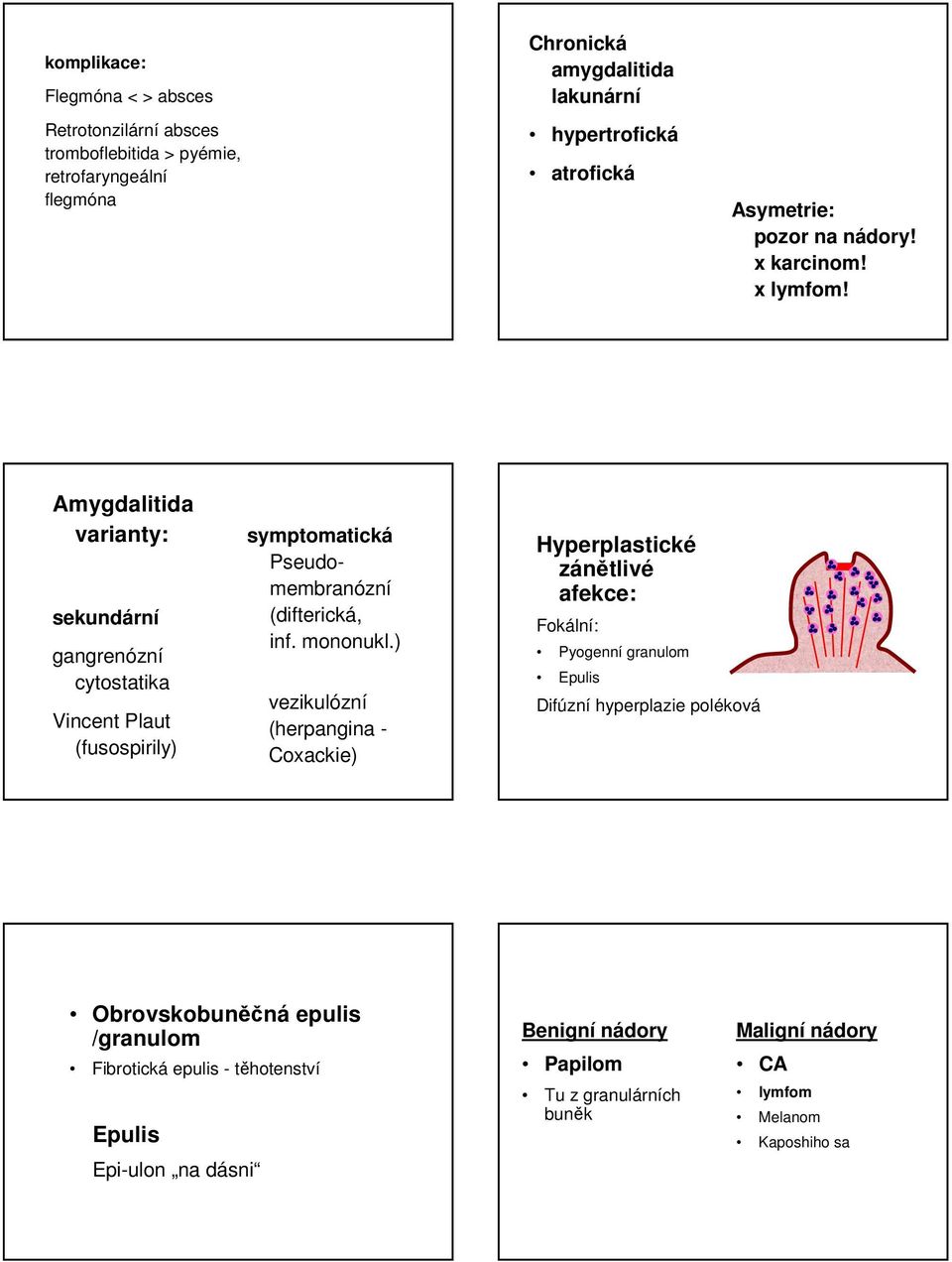 Amygdalitida varianty: sekundární gangrenózní cytostatika Vincent Plaut (fusospirily) symptomatická Pseudomembranózní (difterická, inf. mononukl.