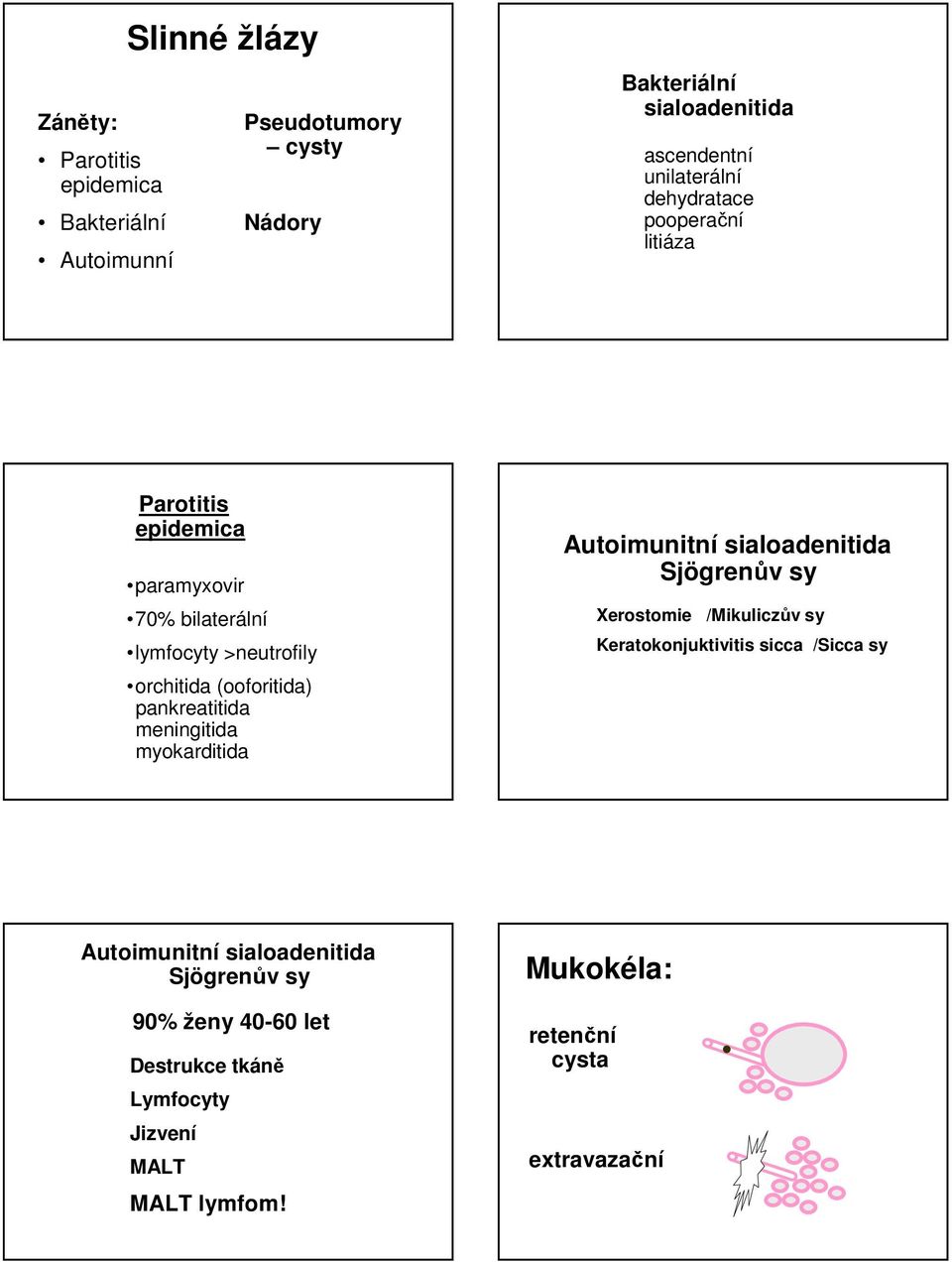 pankreatitida meningitida myokarditida Autoimunitní sialoadenitida Sjögrenův sy Xerostomie /Mikuliczův sy Keratokonjuktivitis sicca /Sicca