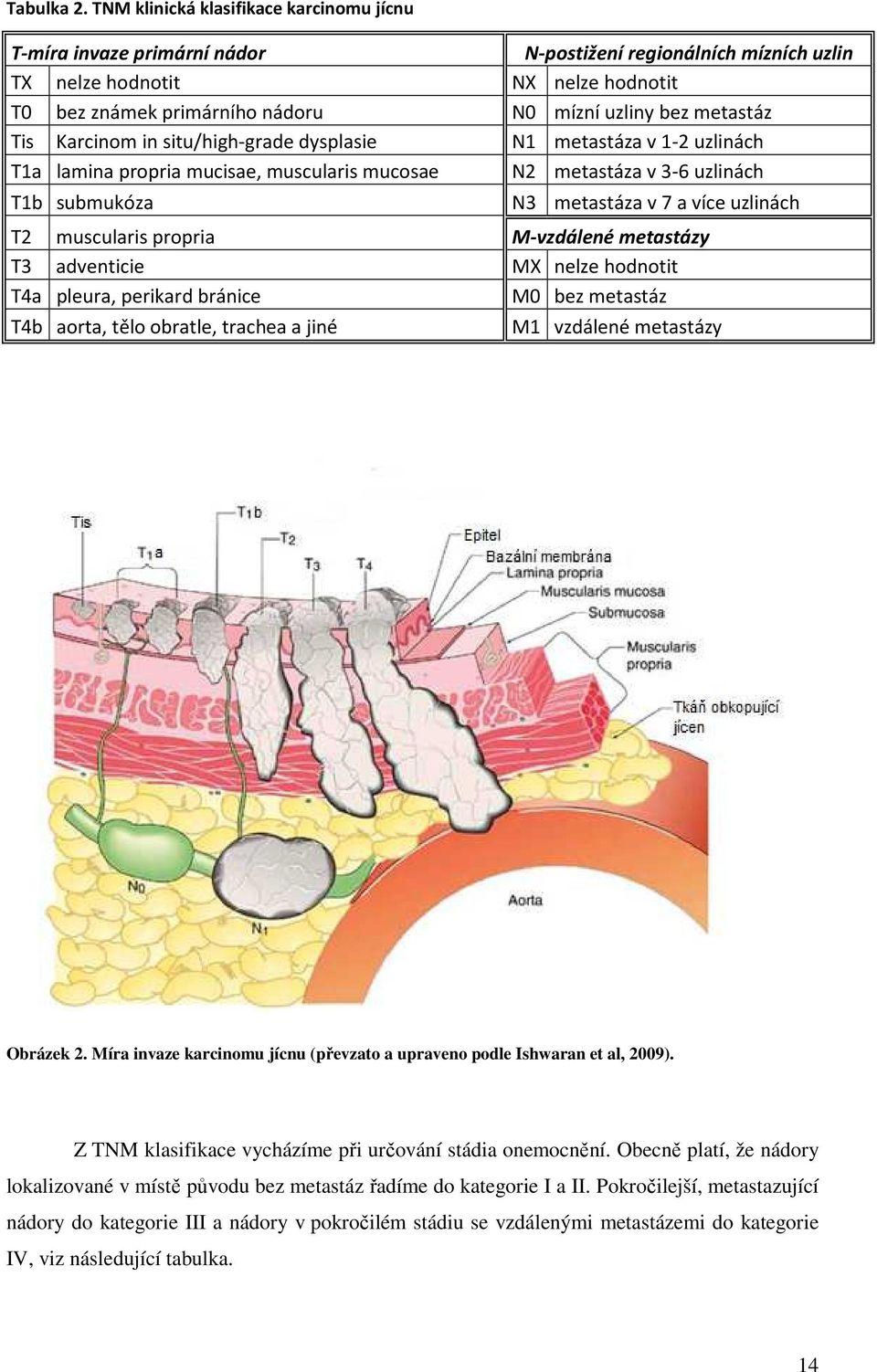 muscularis mucosae T1b submukóza T2 muscularis propria T3 adventicie T4a pleura, perikard bránice T4b aorta, tělo obratle, trachea a jiné N-postižení regionálních mízních uzlin NX nelze hodnotit N0