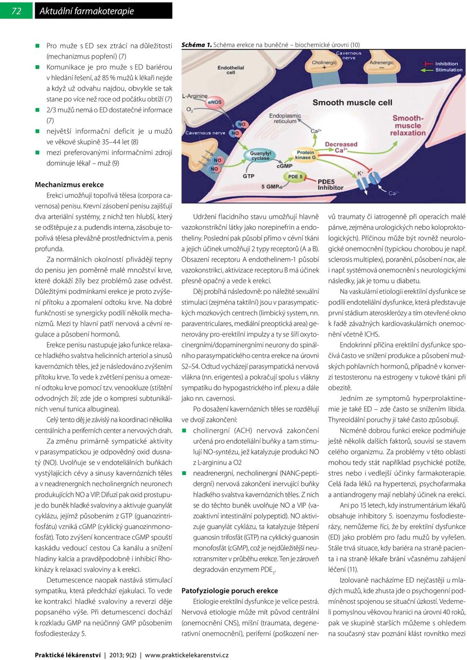 preferovanými informačními zdroji dominuje lékař muž (9) Schéma 1. Schéma erekce na buněčné biochemické úrovni (10) Mechanizmus erekce Erekci umožňují topořivá tělesa (corpora cavernosa) penisu.