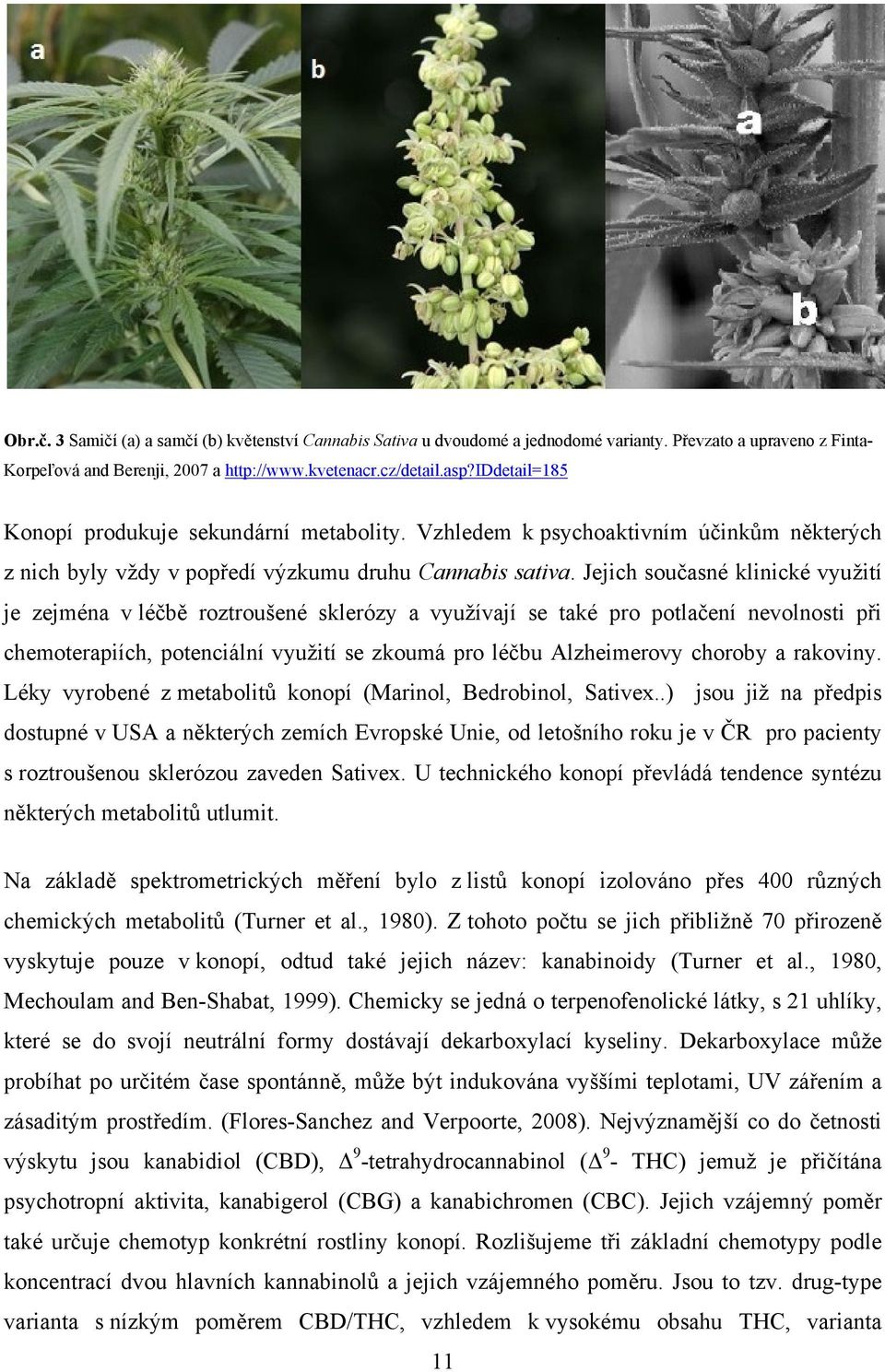 Jejich současné klinické využití je zejména v léčbě roztroušené sklerózy a využívají se také pro potlačení nevolnosti při chemoterapiích, potenciální využití se zkoumá pro léčbu Alzheimerovy choroby