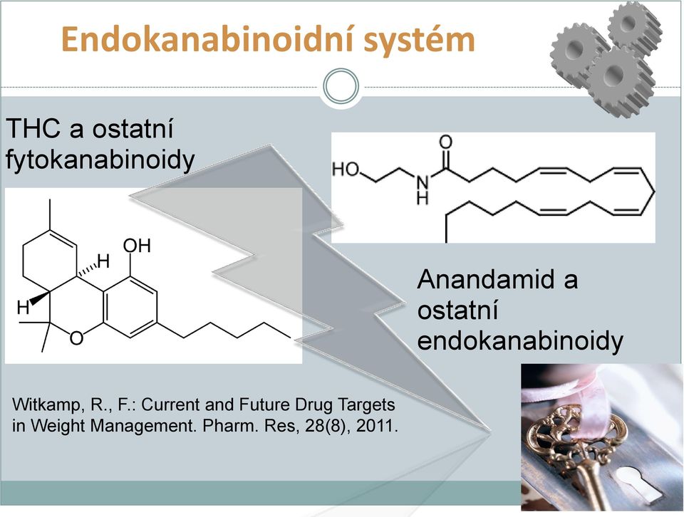 endokanabinoidy Witkamp, R., F.