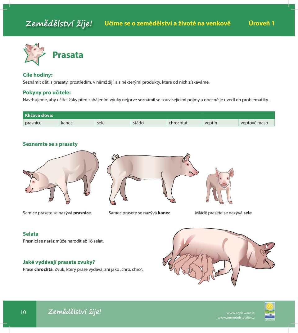 Klíčová slova: prasnice kanec sele stádo chrochtat vepřín vepřové maso Seznamte se s prasaty Samice prasete se nazývá prasnice.