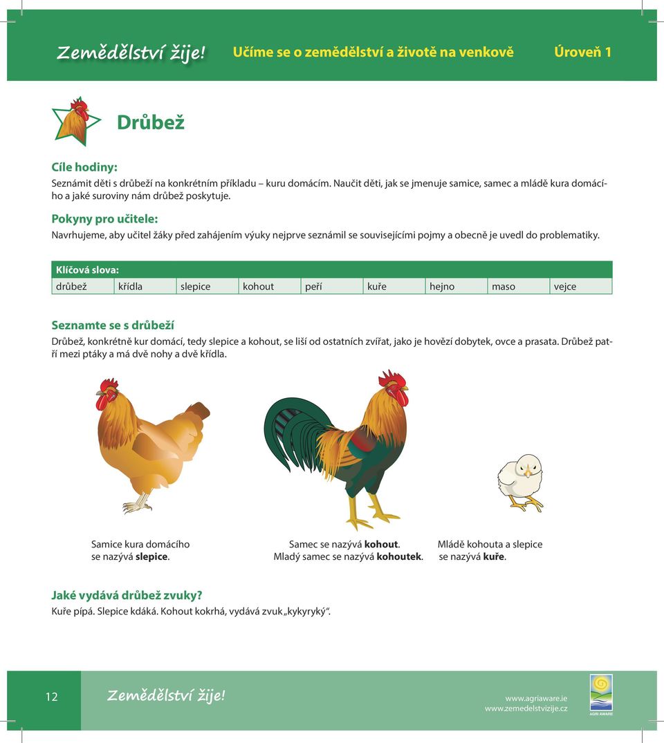 Klíčová slova: drůbež křídla slepice kohout peří kuře hejno maso vejce Seznamte se s drůbeží Drůbež, konkrétně kur domácí, tedy slepice a kohout, se liší od ostatních zvířat, jako je hovězí dobytek,