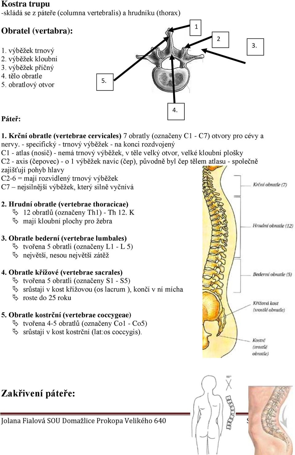 - specifický - trnový výběžek - na konci rozdvojený C1 - atlas (nosič) - nemá trnový výběžek, v těle velký otvor, velké kloubní plošky C2 - axis (čepovec) - o 1 výběžek navíc (čep), původně byl čep