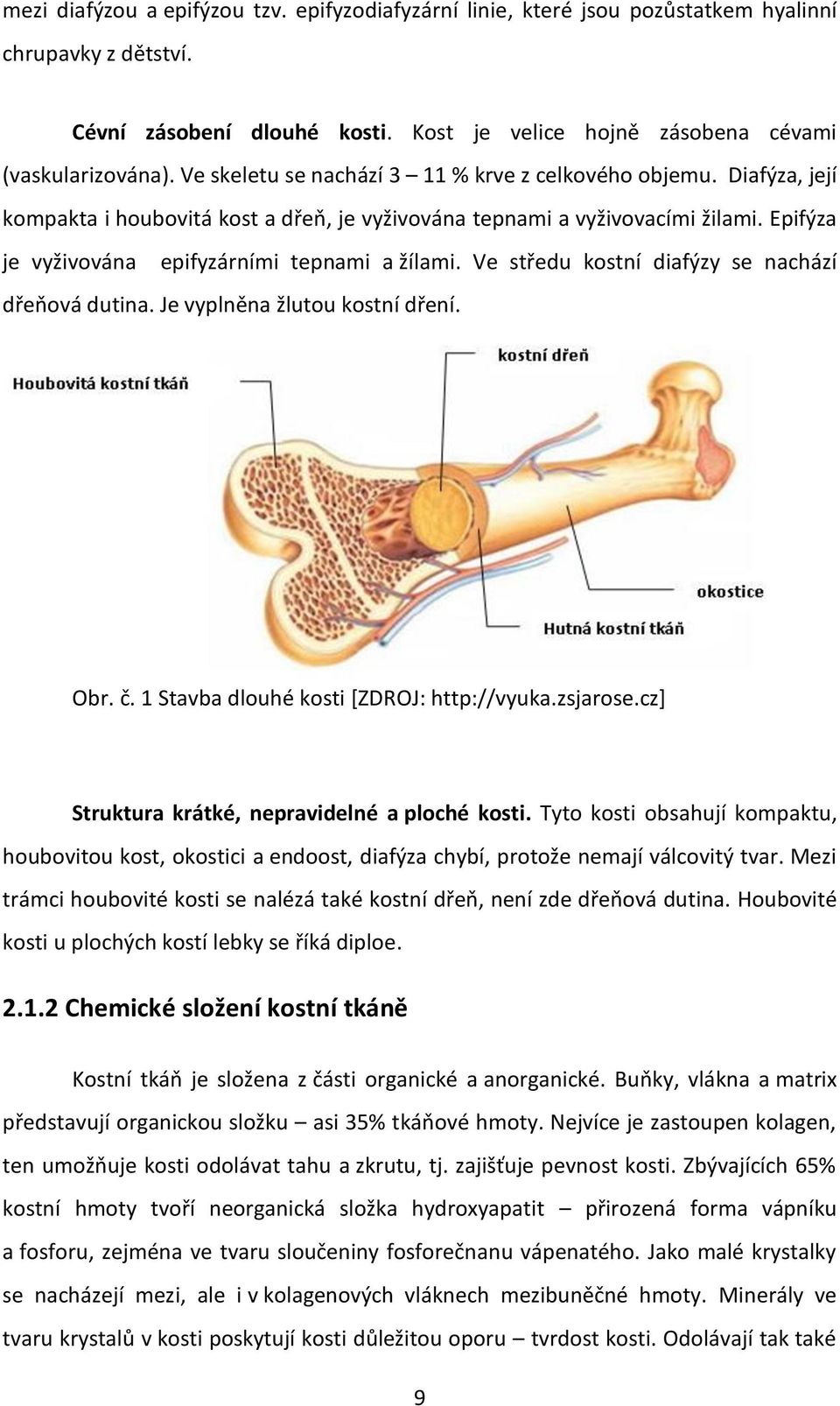 Ve středu kostní diafýzy se nachází dřeňová dutina. Je vyplněna žlutou kostní dření. Obr. č. 1 Stavba dlouhé kosti [ZDROJ: http://vyuka.zsjarose.cz] Struktura krátké, nepravidelné a ploché kosti.