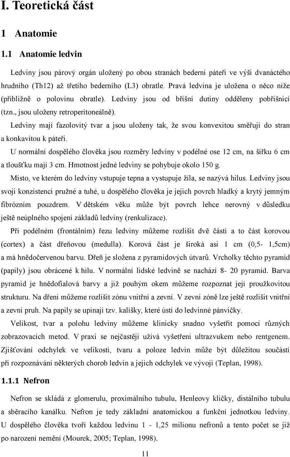 Ledviny mají fazolovitý tvar a jsou uloţeny tak, ţe svou konvexitou směřují do stran a konkavitou k páteři.