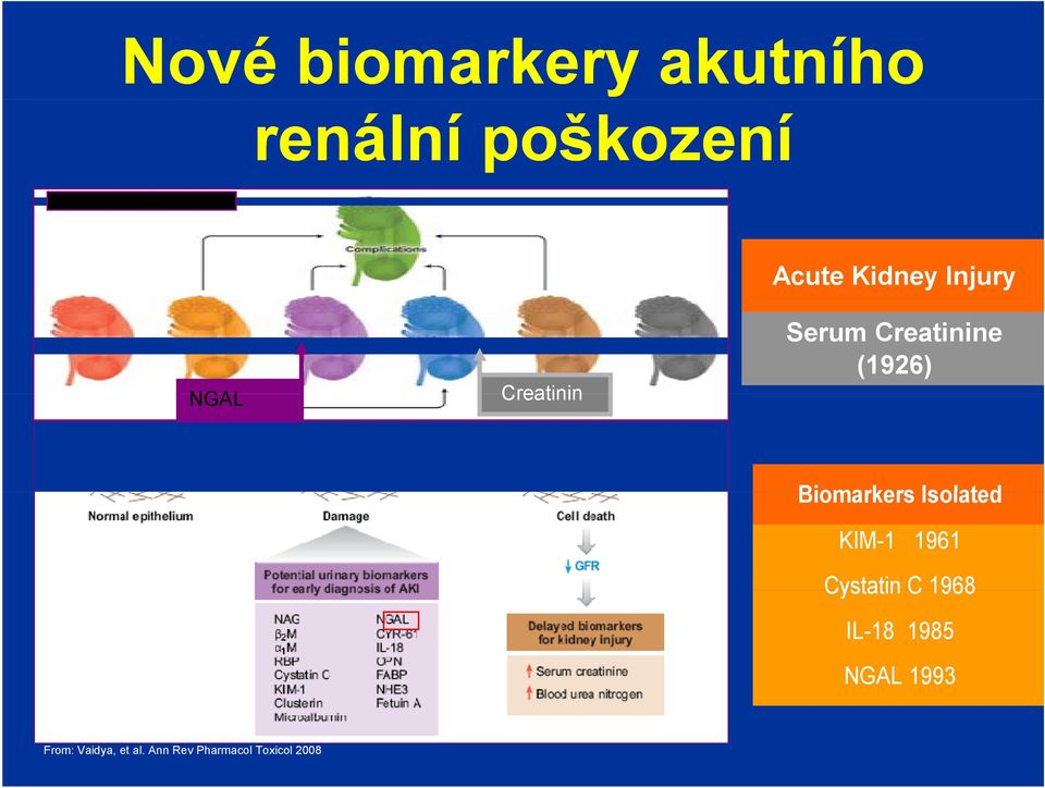 Biomarkers Isolated KIM-1 1961 Cystatin C 1968 IL-18