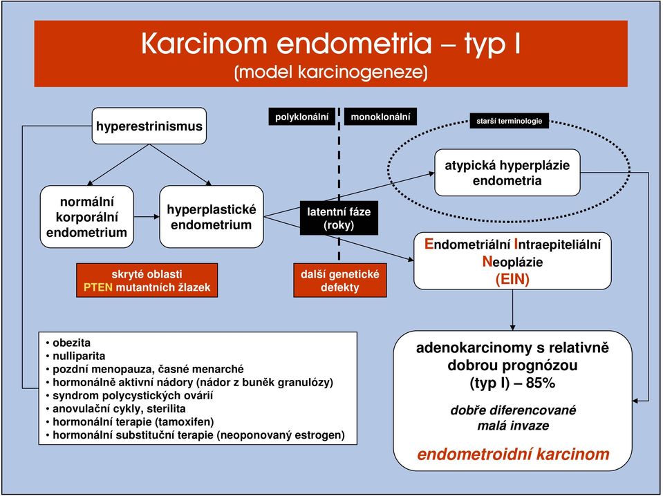 nulliparita pozdní menopauza, časné menarché hormonálně aktivní nádory (nádor z buněk granulózy) syndrom polycystických ovárií anovulační cykly, sterilita hormonální