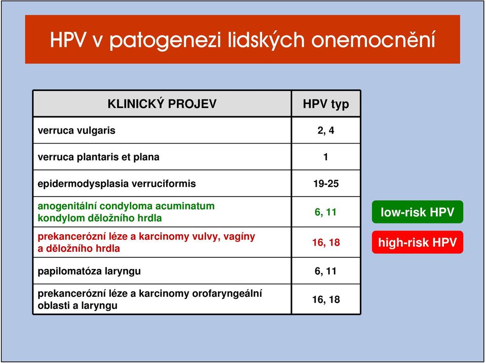 hrdla prekancerózní léze a karcinomy vulvy, vagíny a děložního hrdla 6, 11 16, 18 low-risk HPV