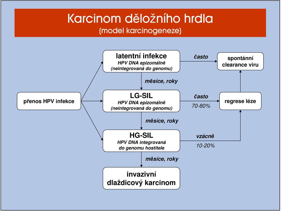 LG-SIL HPV DNA epizomálně (neintegrovaná do genomu) často 70-80% regrese léze měsíce, roky