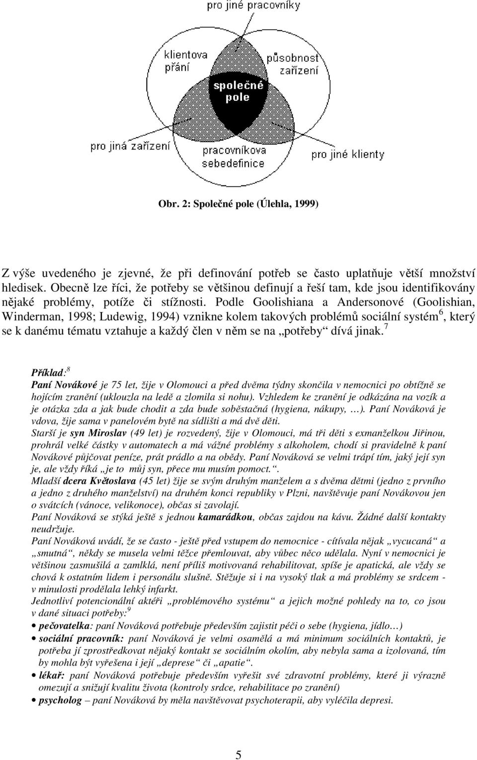 Podle Goolishiana a Andersonové (Goolishian, Winderman, 1998; Ludewig, 1994) vznikne kolem takových problémů sociální systém 6, který se k danému tématu vztahuje a každý člen v něm se na potřeby dívá