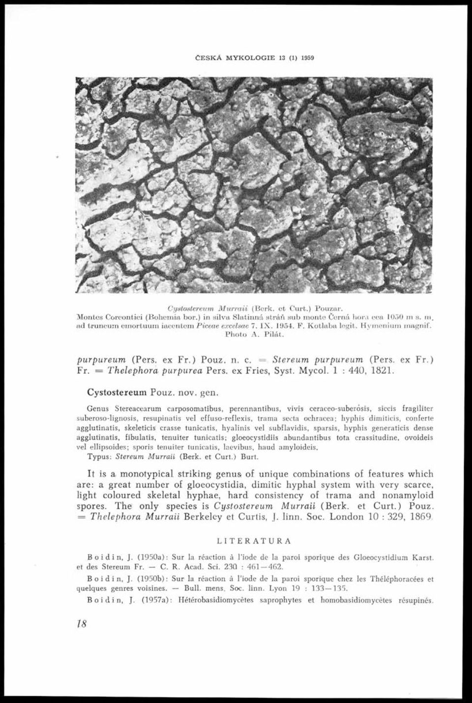 ex F r.) Fr. = Thelephora purpurea Pers. ex Fries, Syst. M ycol. 1 : 440, 1821. Cystostereum Pouz. nov. gen.