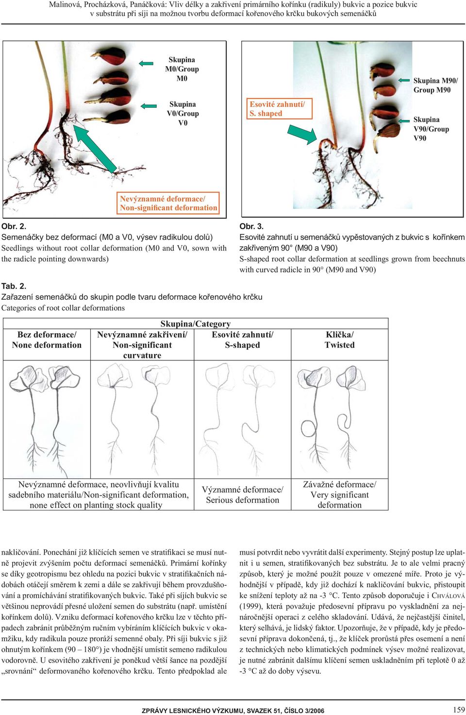 Semenáčky bez deformací (M0 a V0, výsev radikulou dolů) Seedlings without root collar deformation (M0 and V0, sown with the radicle pointing downwards) Obr. 3.
