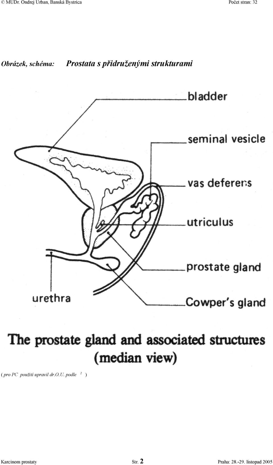 použití upravil dr.o.u. podle 2 ) Karcinom prostaty Str.