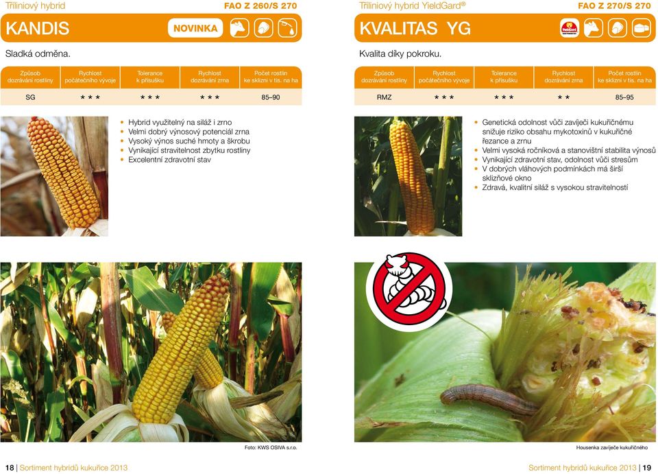 Genetická odolnost vůči zavíječi kukuřičnému snižuje riziko obsahu mykotoxinů v kukuřičné řezance a zrnu Velmi vysoká ročníková a stanovištní stabilita výnosů Vynikající zdravotní stav,