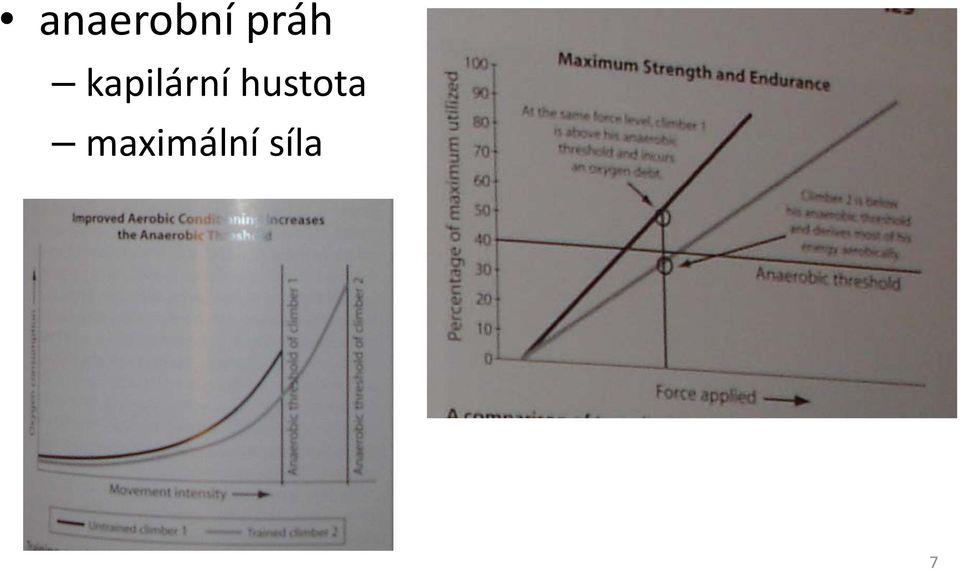 kapilární