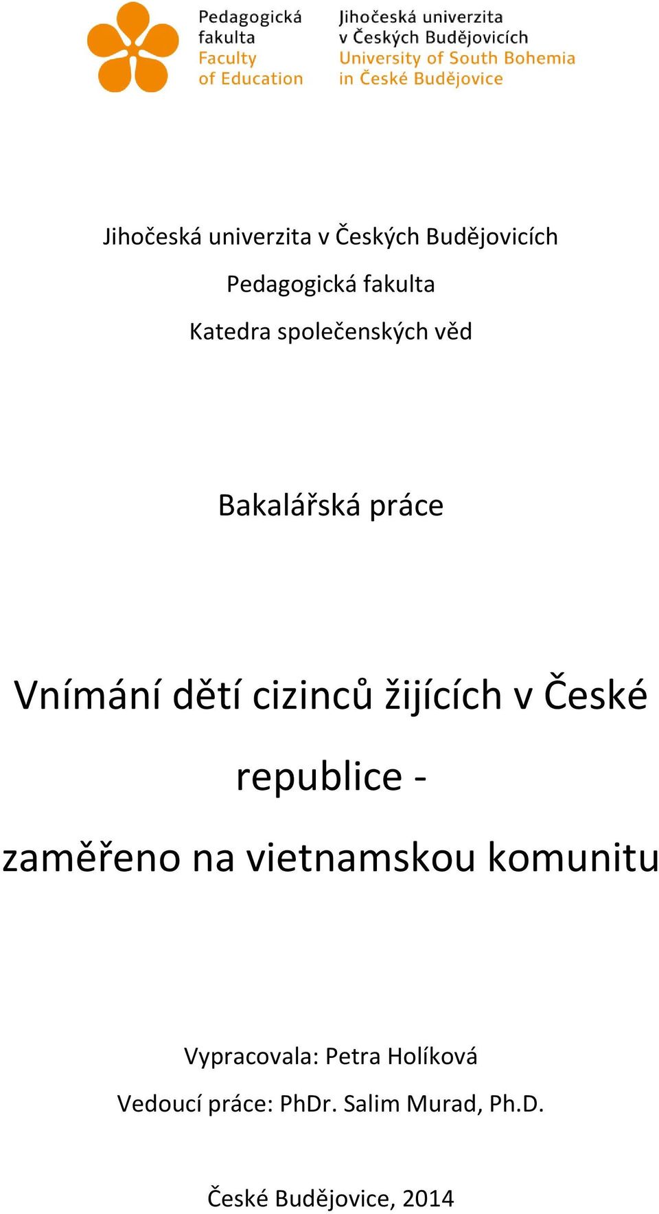 žijících v České republice - zaměřeno na vietnamskou komunitu