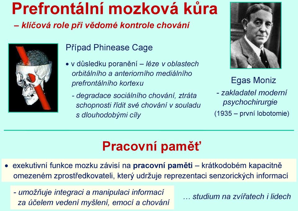 moderní psychochirurgie (1935 první lobotomie) Pracovní paměť exekutivní funkce mozku závisí na pracovní paměti krátkodobém kapacitně omezeném