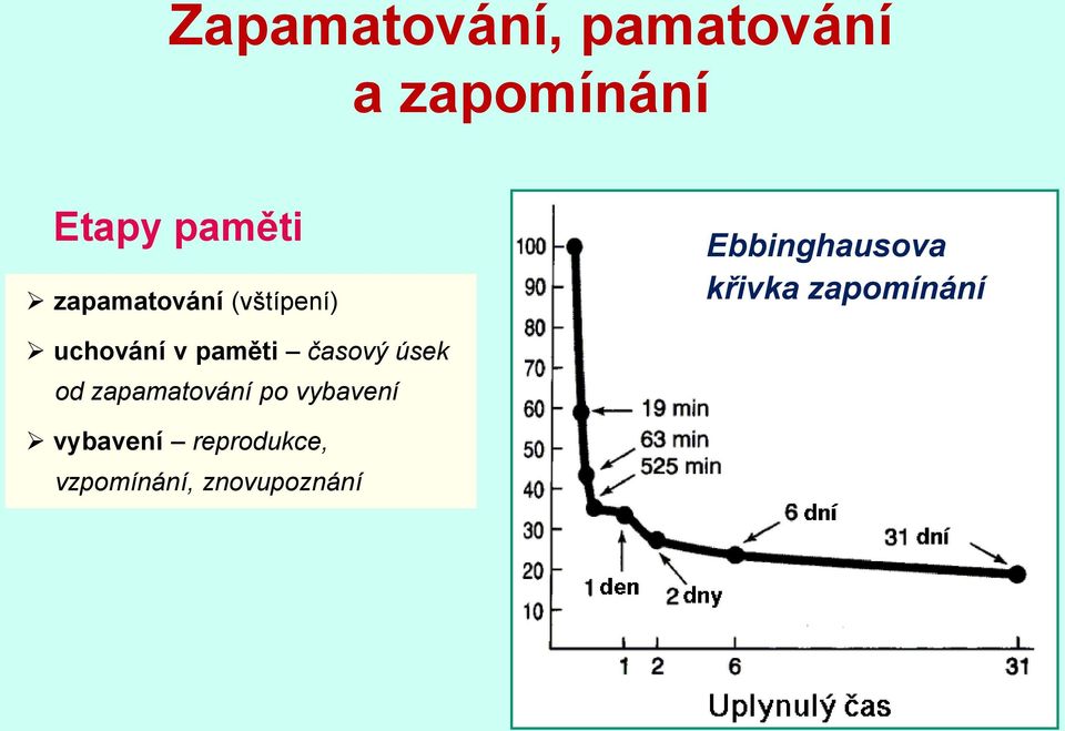 zapomínání uchování v paměti časový úsek od