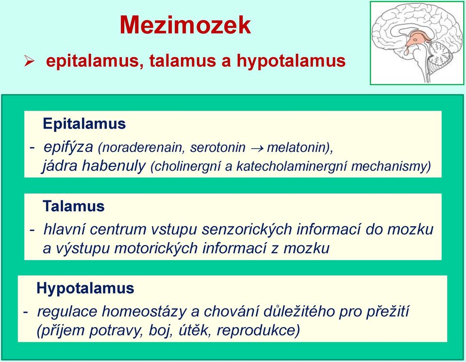 centrum vstupu senzorických informací do mozku a výstupu motorických informací z mozku