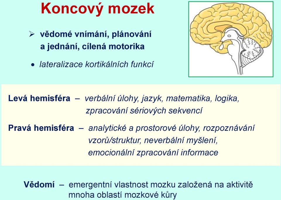 hemisféra analytické a prostorové úlohy, rozpoznávání vzorů/struktur, neverbální myšlení,