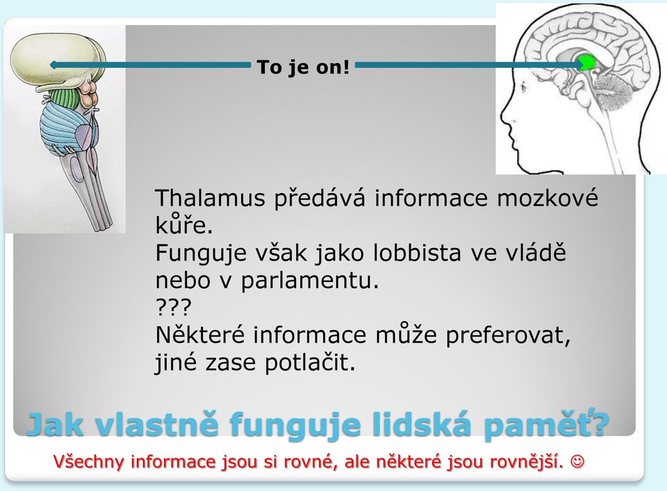 ??? Některé informace můţe preferovat, jiné zase potlačit.