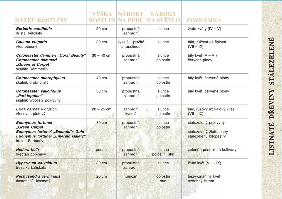 fortunei Emerald Gaiety brslen Fortunův Hedera helix břečťan popínavý 30 20 25 cm pnoucí kyselá písčitá s rašelinou kyselá, stín bílá, růžová až fialová (VII IX) bílý květ (V VI) červené plody bílý