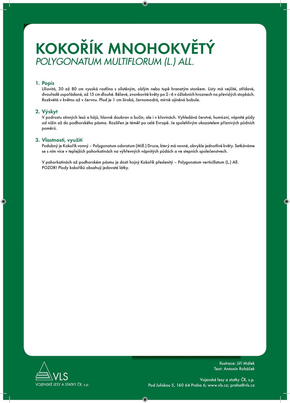 Plod je 1 cm široká, černomodrá, mírně ojíněná bobule. 2. Výskyt V podrostu stinných lesů a hájů, hlavně doubrav a bučin, ale i v křovinách.