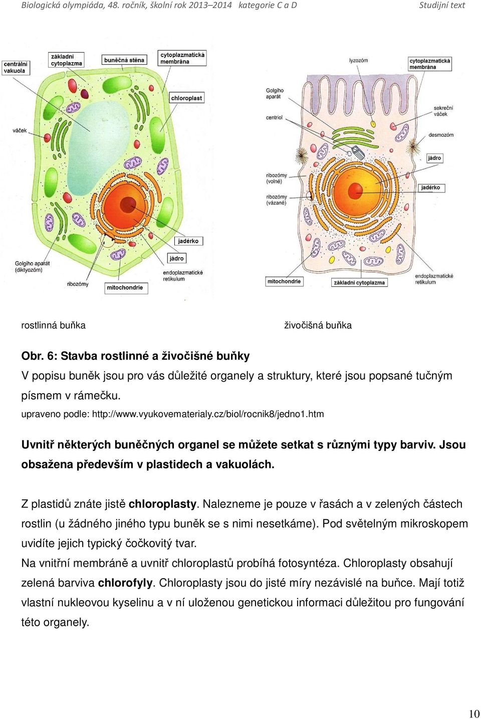 Z plastidů znáte jistě chloroplasty. Nalezneme je pouze v řasách a v zelených částech rostlin (u žádného jiného typu buněk se s nimi nesetkáme).