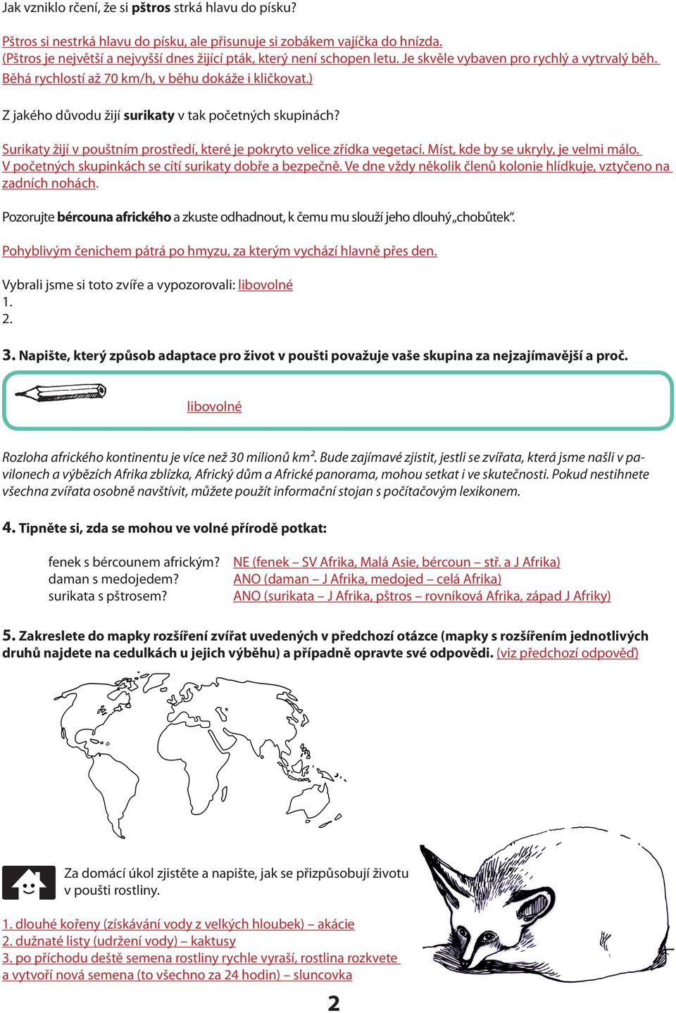 ) Z jakého důvodu žijí surikaty v tak početných skupinách? Surikaty žijí v pouštním prostředí, které je pokryto velice zřídka vegetací. Míst, kde by se ukryly, je velmi málo.