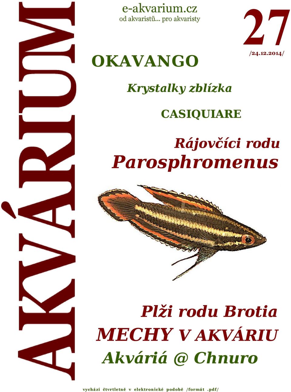 Parosphromenus úvodník MECHY Plži rodu Brotia MECHY V AKVÁRIU