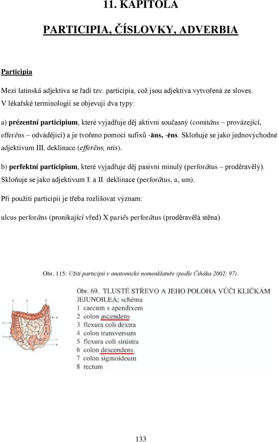 Skloňuje se jako jednovýchodné adjektivum III. deklinace (efferēns, ntis). b) perfektní participium, které vyjadřuje děj pasivní minulý (perforātus proděravělý). Skloňuje se jako adjektivum I.