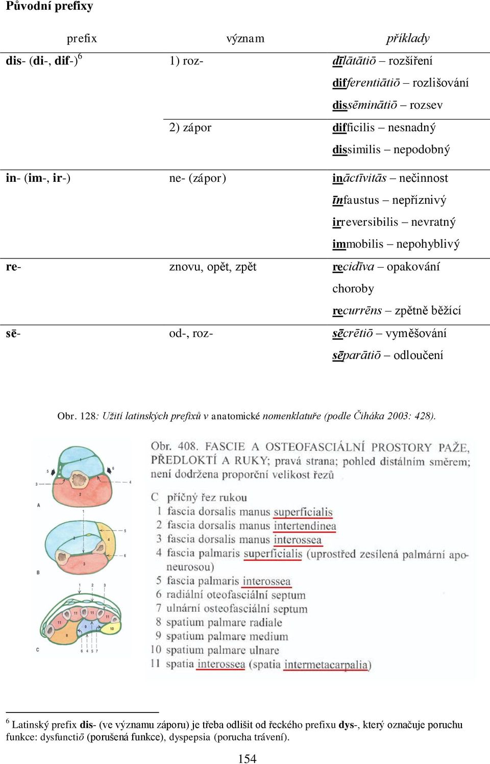 choroby recurrēns zpětně běţící sē- od-, roz- sēcrētiō vyměšování sēparātiō odloučení Obr. 128: Užití latinských prefixů v anatomické nomenklatuře (podle Čiháka 2003: 428).