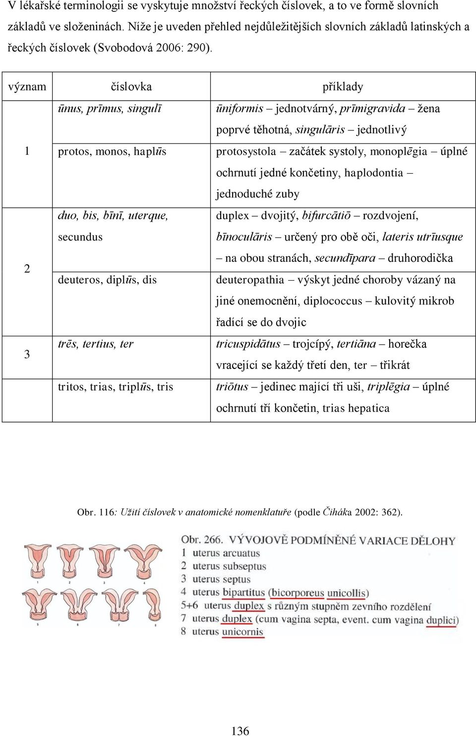 význam číslovka příklady ūnus, prīmus, singulī ūniformis jednotvárný, prīmigravida ţena poprvé těhotná, singulāris jednotlivý 1 protos, monos, haplūs protosystola začátek systoly, monoplēgia úplné