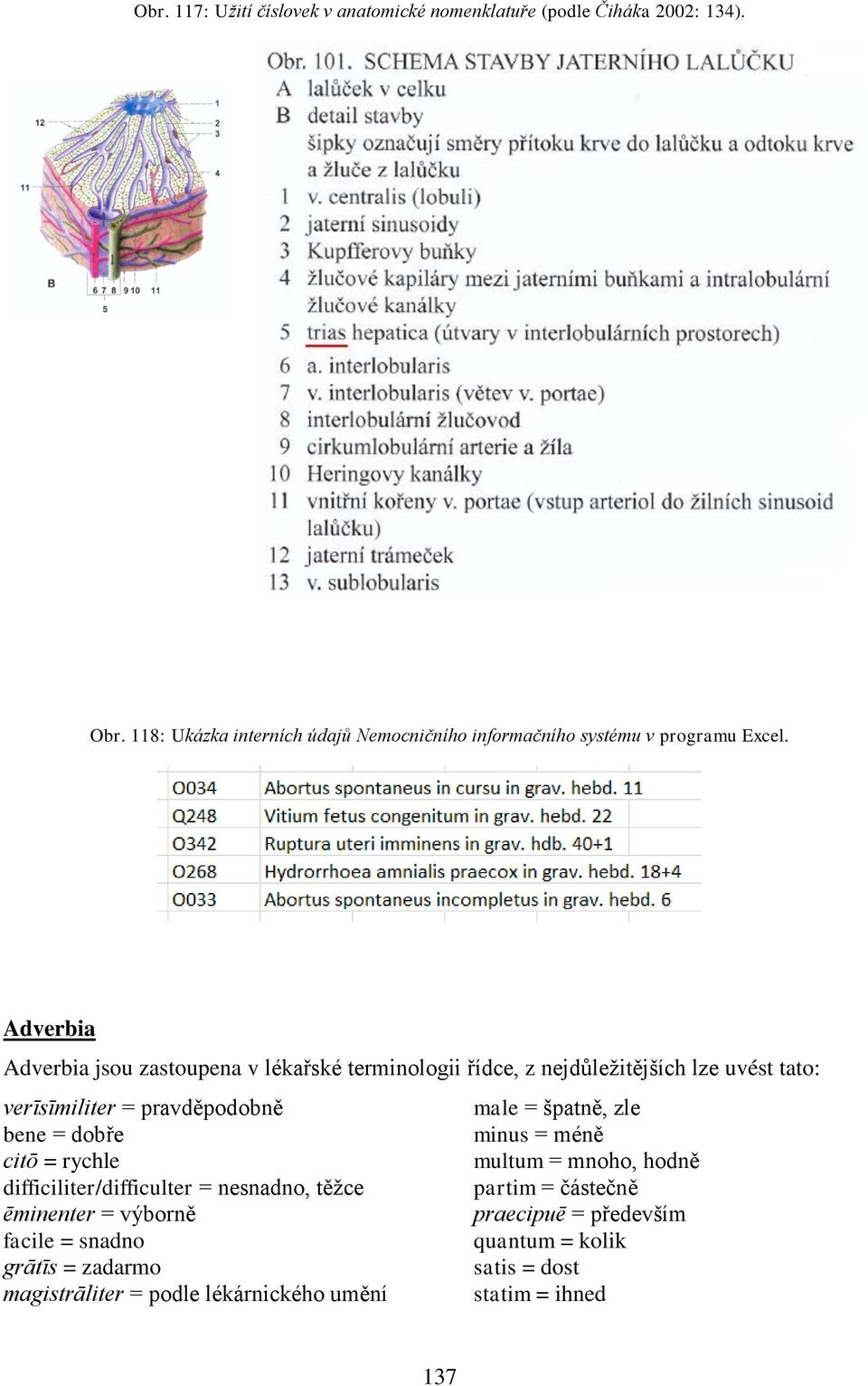 Adverbia Adverbia jsou zastoupena v lékařské terminologii řídce, z nejdůleţitějších lze uvést tato: verīsīmiliter = pravděpodobně bene = dobře citō =