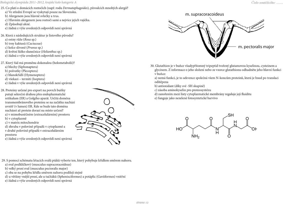 supracoracoideus 26. Která z následujících struktur je listového původu? a) ostny růže (Rosa sp.) b) trny kaktusů (Cactaceae) c) kolce slivoně (Prunus sp.) d) květní lůžko slunečnice (Helianthus sp.
