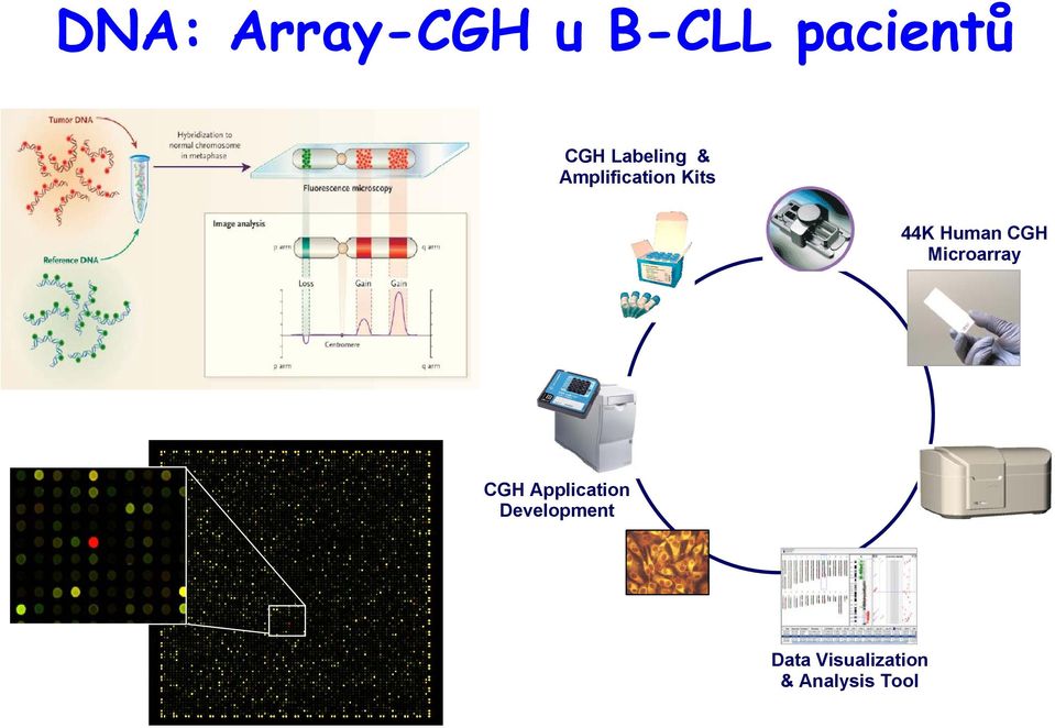 Human CGH Microarray CGH Application