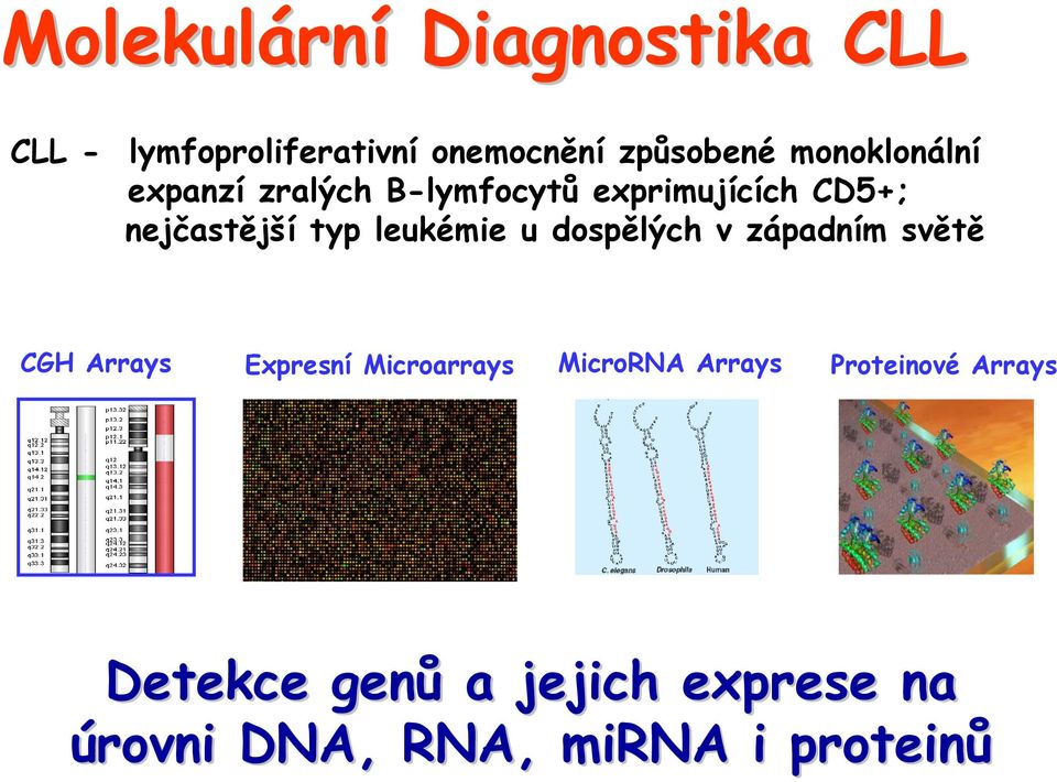 leukémie u dospělých v západním světě CGH Arrays Expresní Microarrays MicroRNA