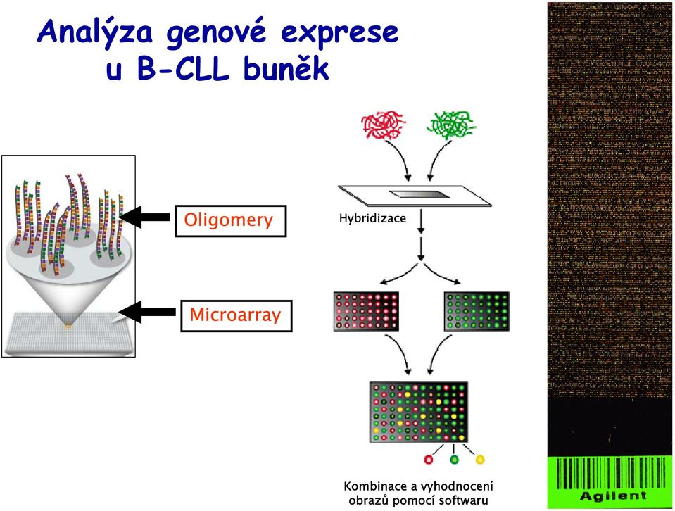 Hybridizace Scan A Scan B Microarray Obraz