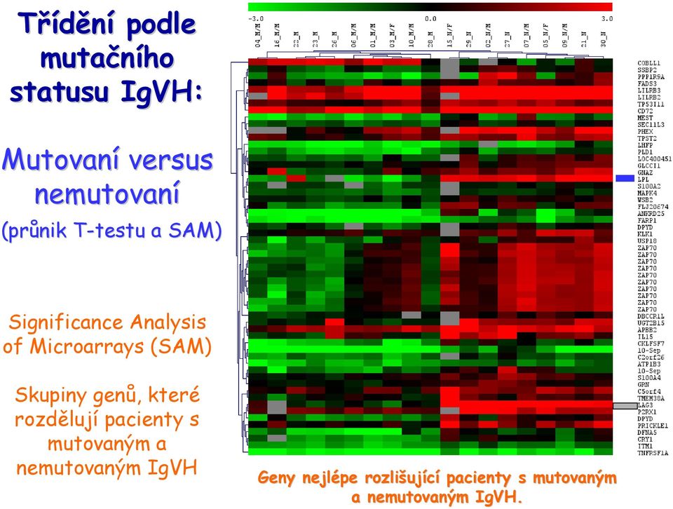 Skupiny genů, které rozdělují pacienty s mutovaným a nemutovaným