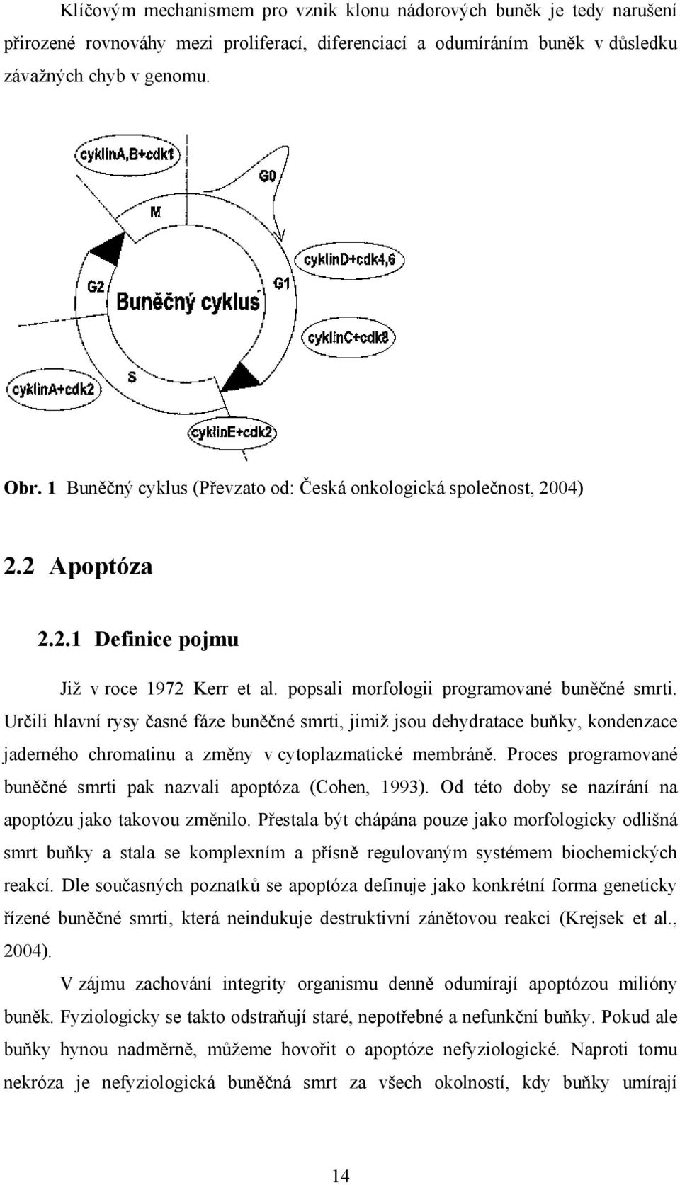 Určili hlavní rysy časné fáze buněčné smrti, jimiž jsou dehydratace buňky, kondenzace jaderného chromatinu a změny v cytoplazmatické membráně.