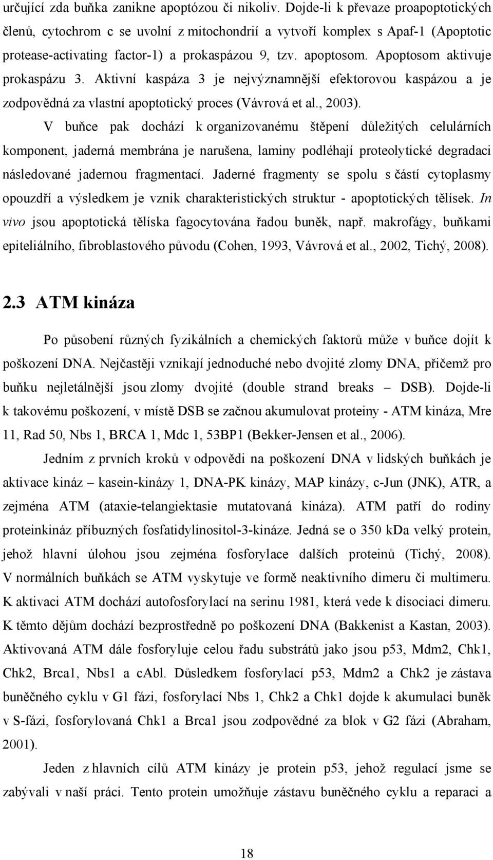 Apoptosom aktivuje prokaspázu 3. Aktivní kaspáza 3 je nejvýznamnější efektorovou kaspázou a je zodpovědná za vlastní apoptotický proces (Vávrová et al., 2003).