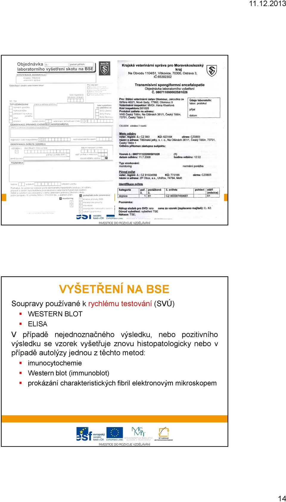 znovu histopatologicky nebo v případě autolýzy jednou z těchto metod: