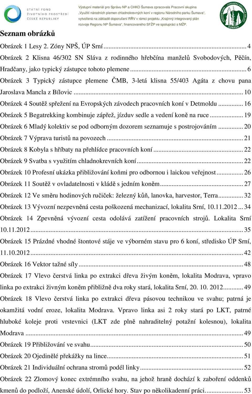 .. 6 Obrázek 3 Typický zástupce plemene ČMB, 3-letá klisna 55/403 Agáta z chovu pana Jaroslava Mancla z Bílovic... 10 Obrázek 4 Soutěž spřežení na Evropských závodech pracovních koní v Detmoldu.