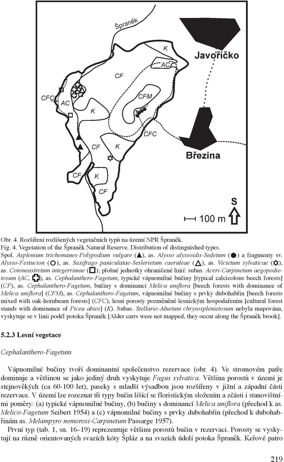 Vicietum sylvaticae ( ), as. Cotoneastretum integerrimae ( ); plošné jednotky ohraničené linií: subas. Aceri-Carpinetum aegopodietosum (AC, ), as.
