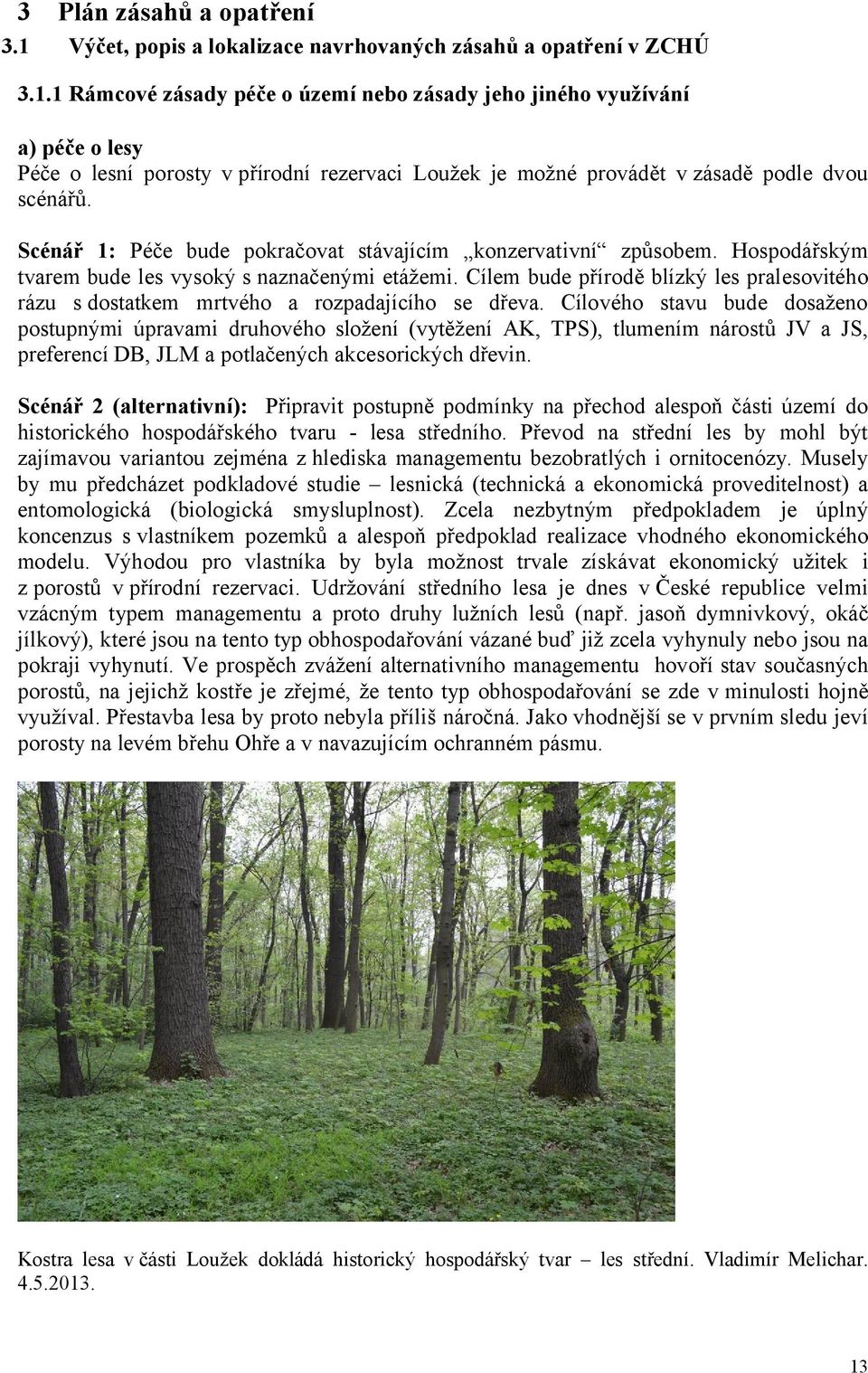 Cílem bude přírodě blízký les pralesovitého rázu s dostatkem mrtvého a rozpadajícího se dřeva.