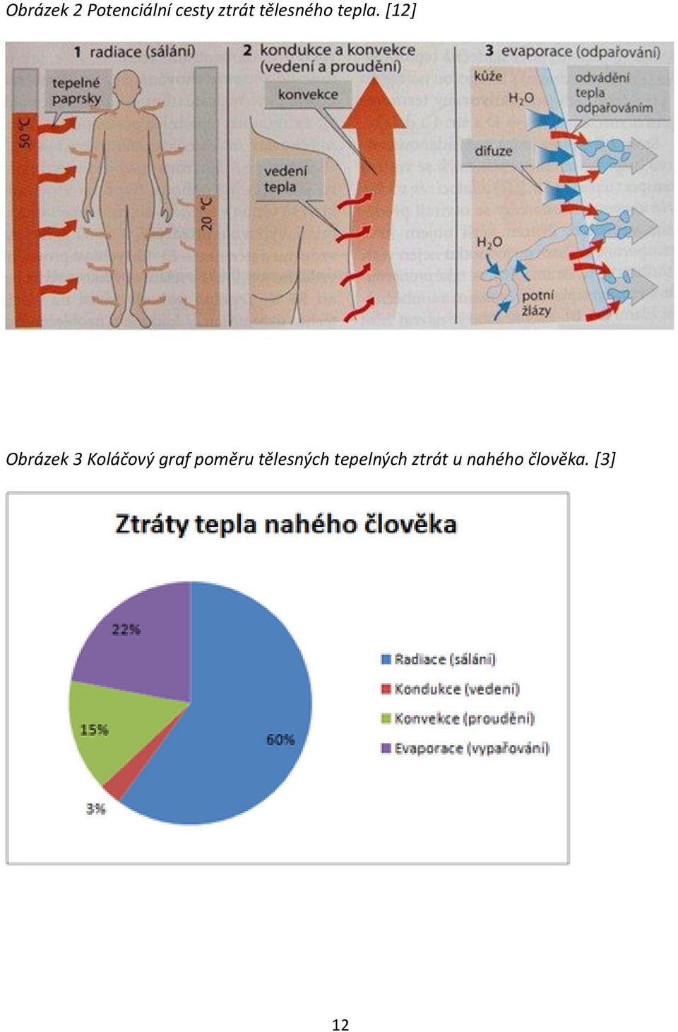 [12] Obrázek 3 Koláčový graf